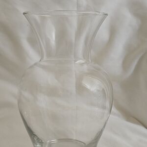 Elegant Clear Glass Vase